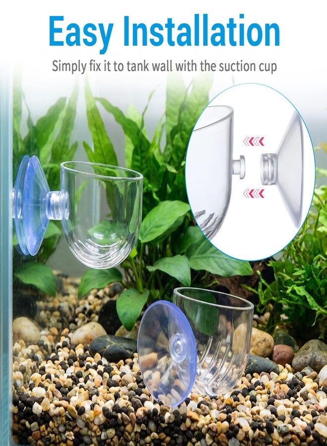 WJIAAA 3 Pcs Aquarium Plant Holder, 2 Sizes Fish Tank Aquatic Plant Pot with Suction Cups, Red Worm Fish Feeder, Acrylic Clear Round Betta Tank Accessories for Water Feature Decoration - Image 4